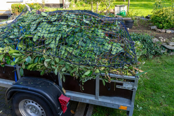 Reliable Mount Healthy, OH Junk Removal Services Solutions